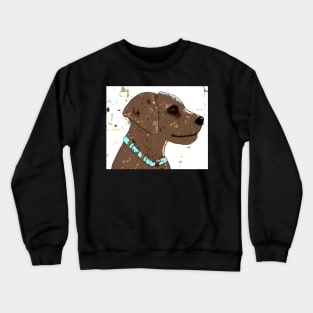 Cute brown dog, turquoise collar Crewneck Sweatshirt